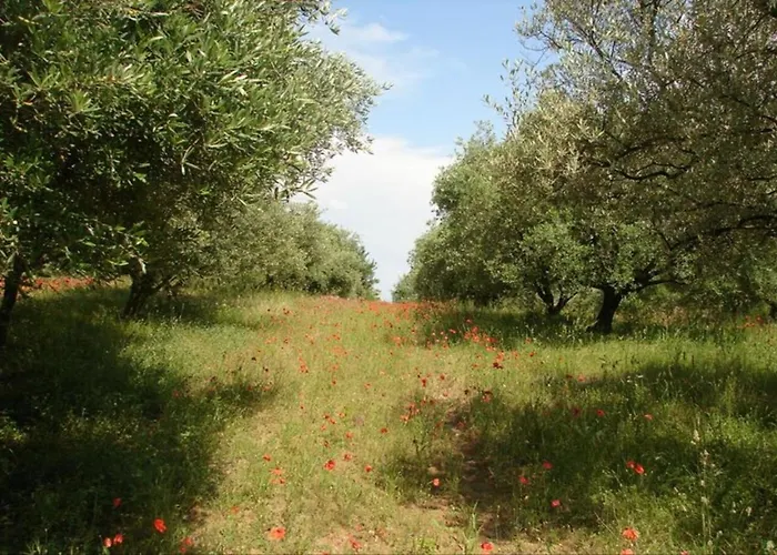 Appartement Lumineux Au Coeur De La Garrigue
